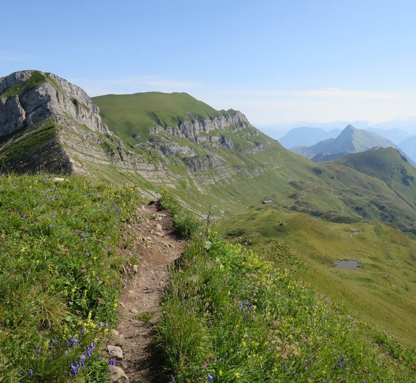 Sommerlandschaft Wanderweg