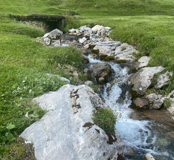 Sommerlandschaft Bach