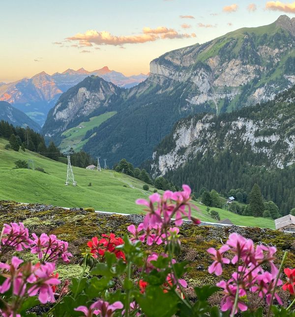 Berggasthaus Gitschenen Zimmeraussicht auf Berge, mit Geranien vor dem Fenster
