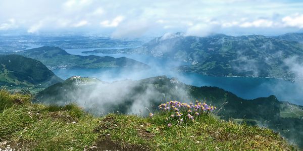 Sommerlandschaft Blick auf Vierwaldstättersee