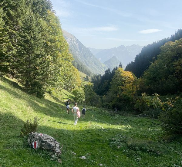 Sommerlandschaft Waldwanderung