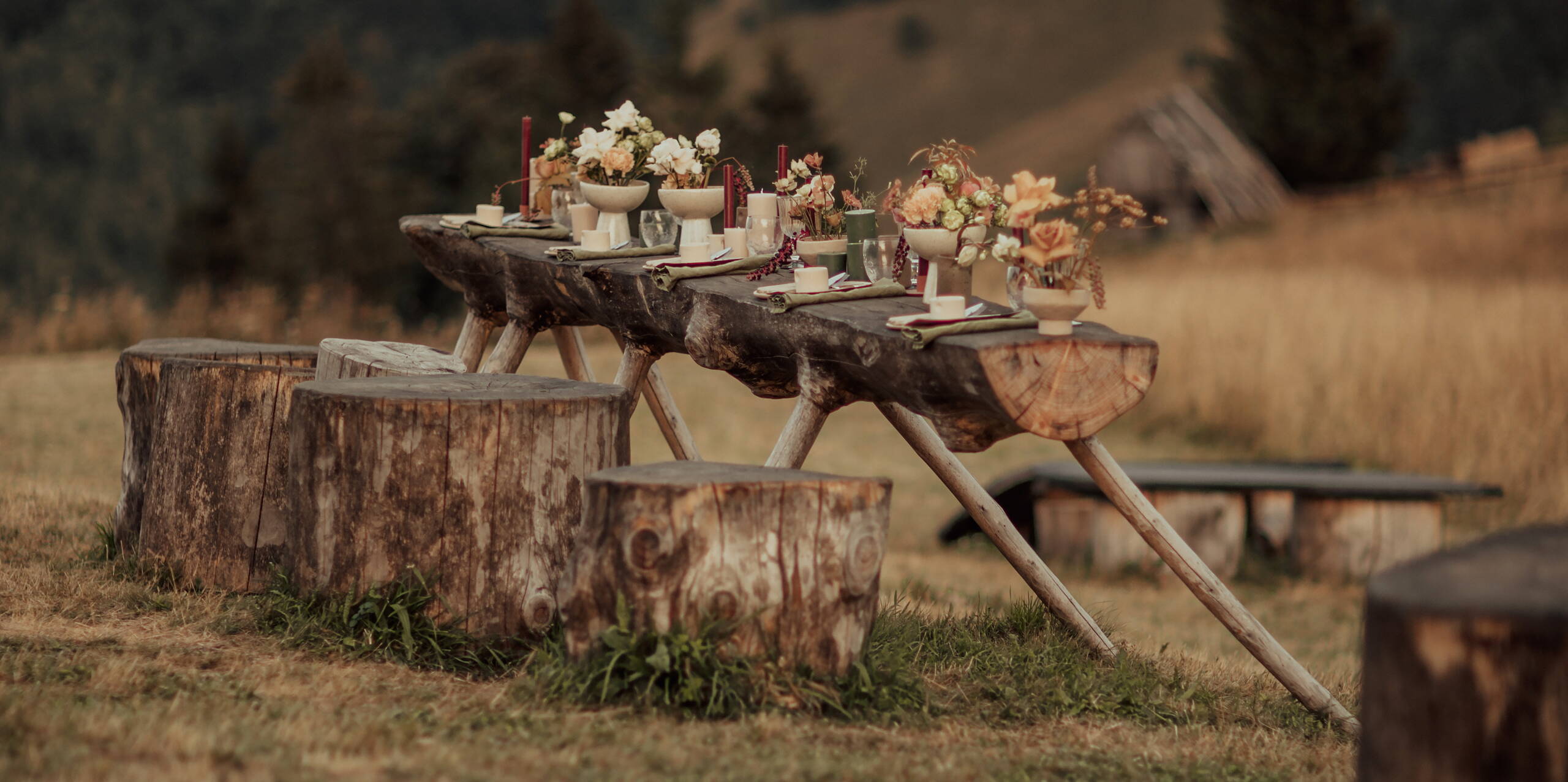 Events Festlich gedeckter Tisch